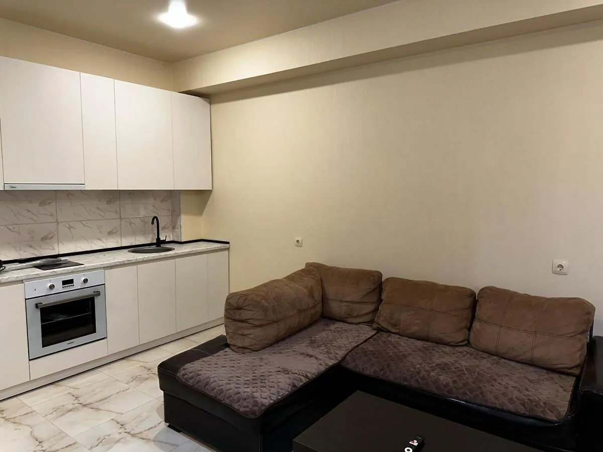 Ground Floor Apartment Near The City Centre Tiflis Georgia